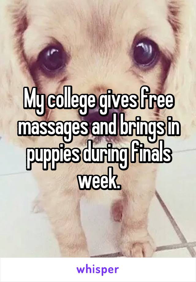 My college gives free massages and brings in puppies during finals week.