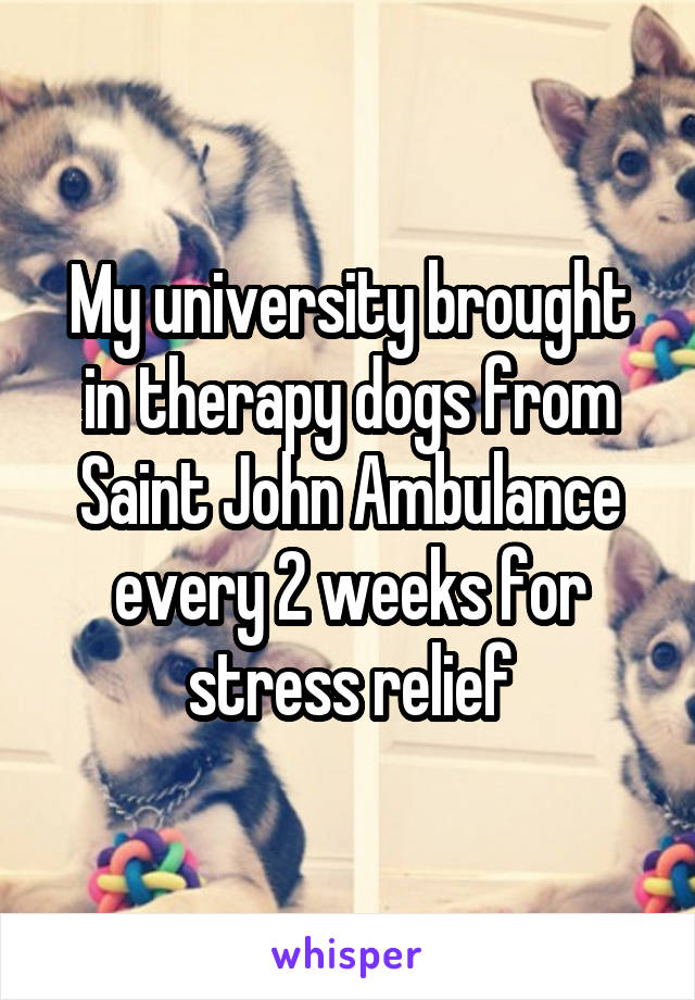 My university brought in therapy dogs from Saint John Ambulance every 2 weeks for stress relief