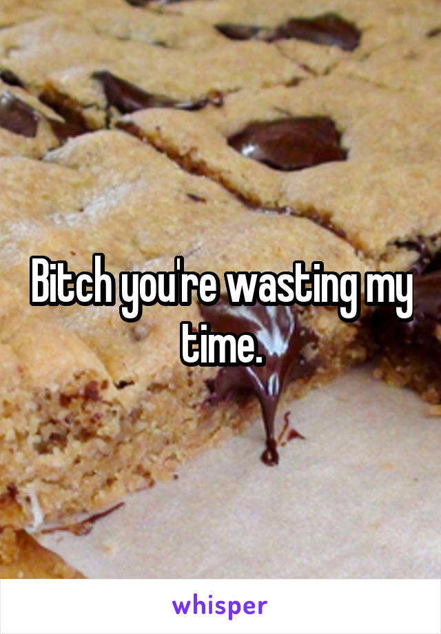 Bitch you're wasting my time.