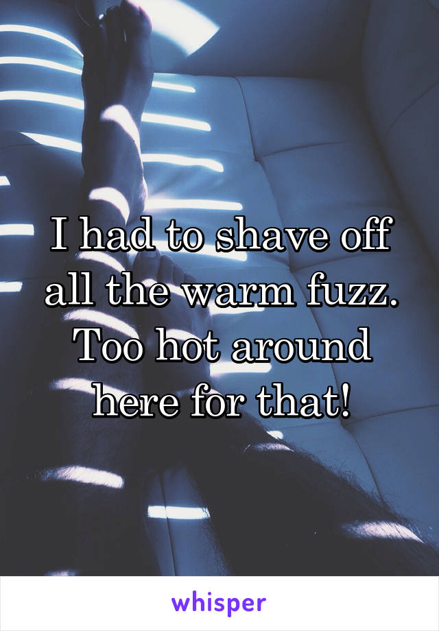 I had to shave off all the warm fuzz. Too hot around here for that!