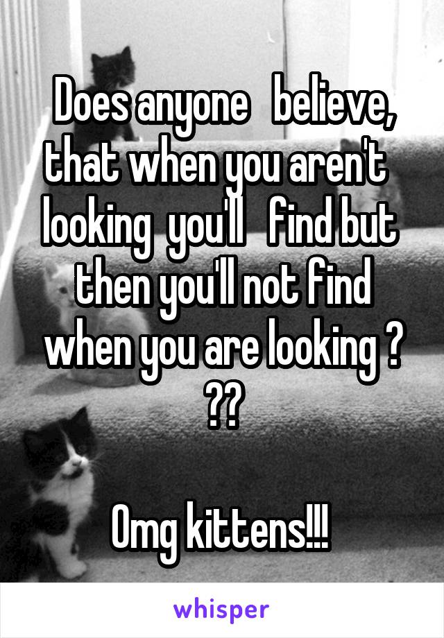 Does anyone   believe, that when you aren't   looking  you'll   find but  then you'll not find when you are looking ? ??

Omg kittens!!! 