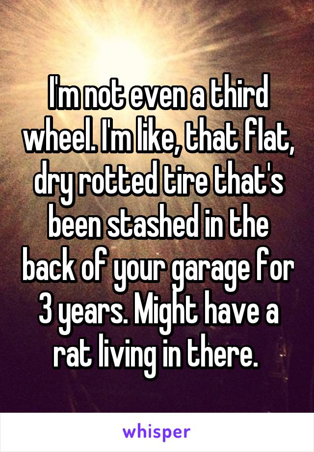 I'm not even a third wheel. I'm like, that flat, dry rotted tire that's been stashed in the back of your garage for 3 years. Might have a rat living in there. 