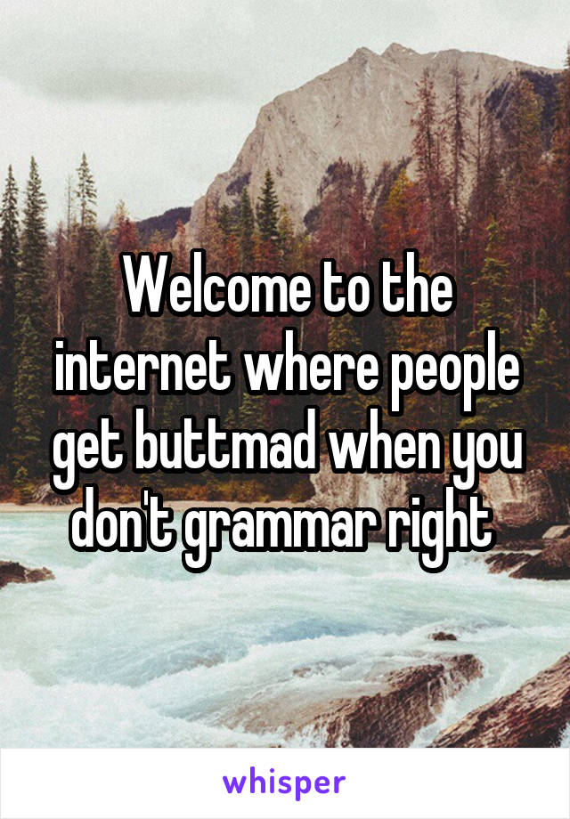 Welcome to the internet where people get buttmad when you don't grammar right 