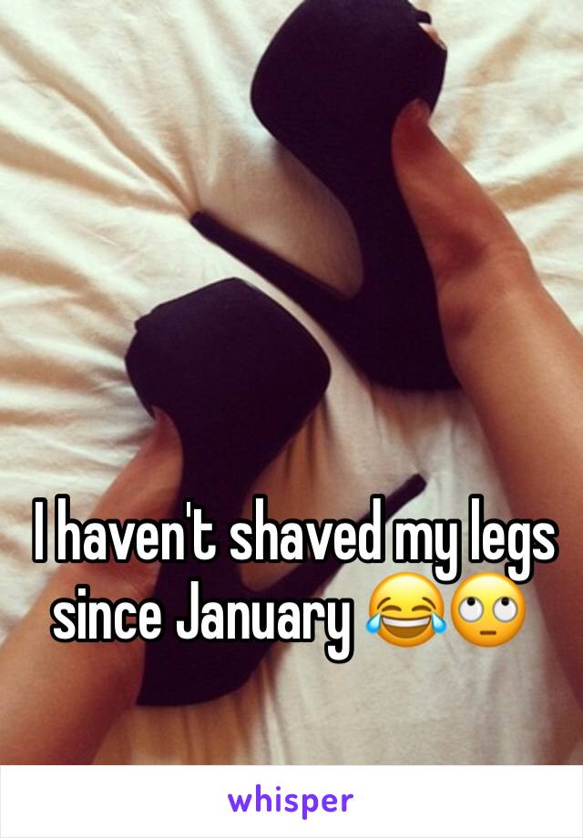  I haven't shaved my legs since January 😂🙄