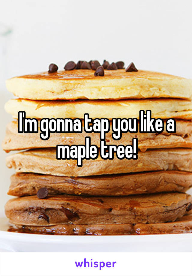 I'm gonna tap you like a maple tree!