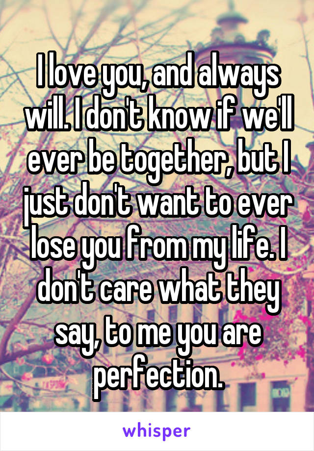 I love you, and always will. I don't know if we'll ever be together, but I just don't want to ever lose you from my life. I don't care what they say, to me you are perfection.