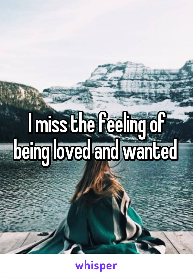 I miss the feeling of being loved and wanted 