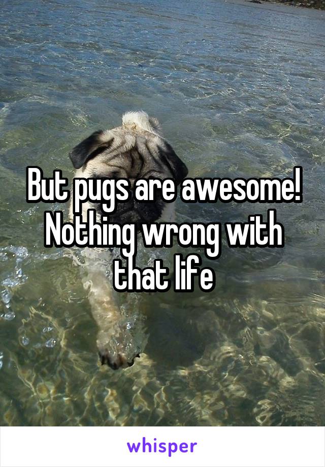 But pugs are awesome! Nothing wrong with that life