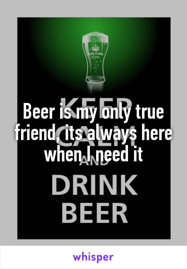 Beer is my only true friend, its always here when I need it