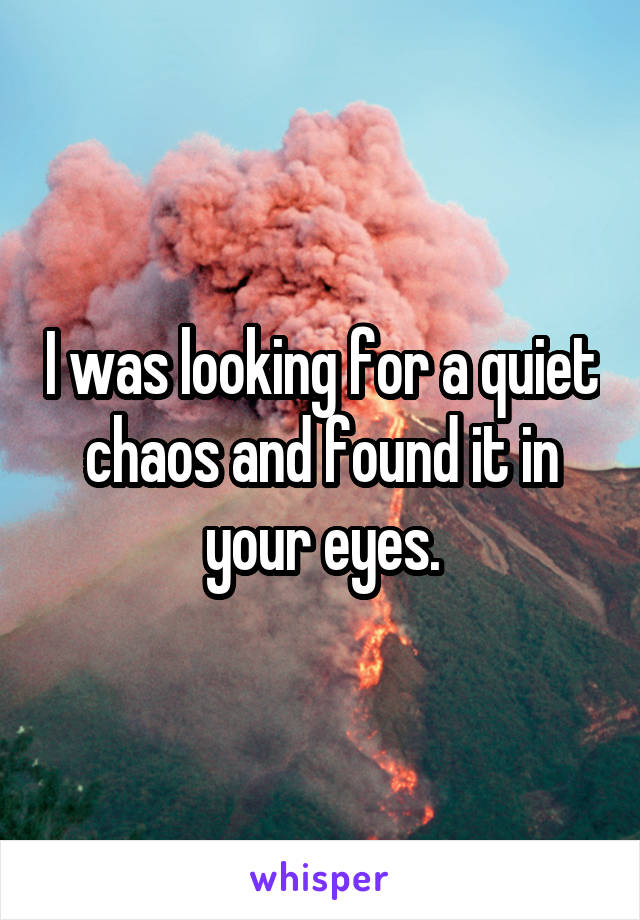 I was looking for a quiet chaos and found it in your eyes.