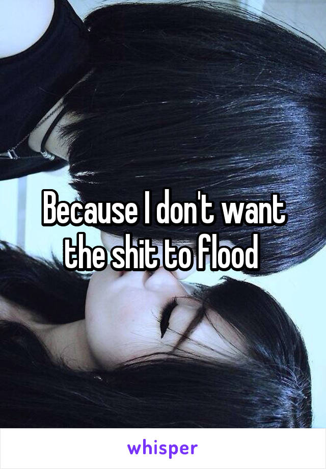 Because I don't want the shit to flood 