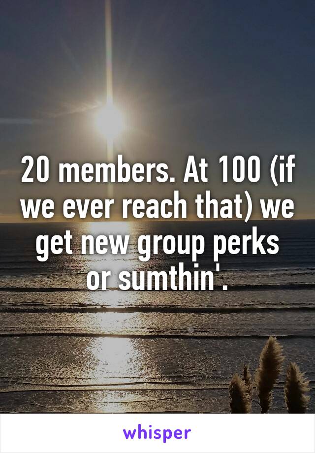 20 members. At 100 (if we ever reach that) we get new group perks or sumthin'.