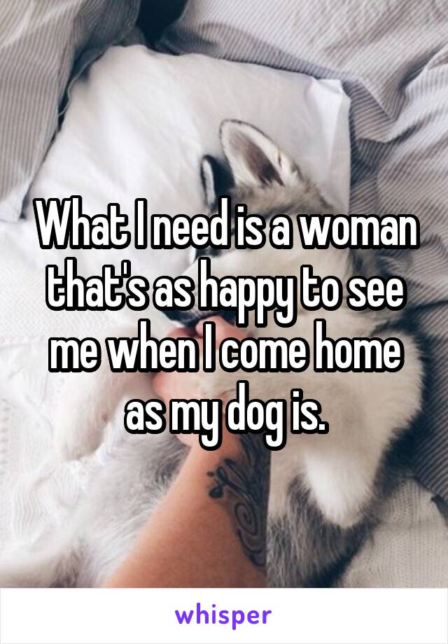 What I need is a woman that's as happy to see me when I come home as my dog is.