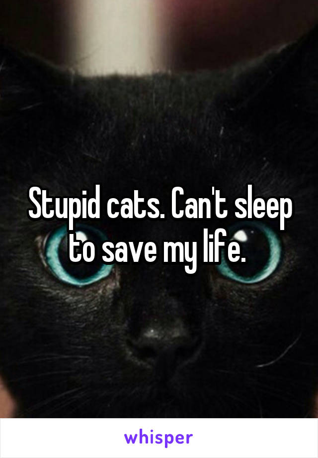 Stupid cats. Can't sleep to save my life. 