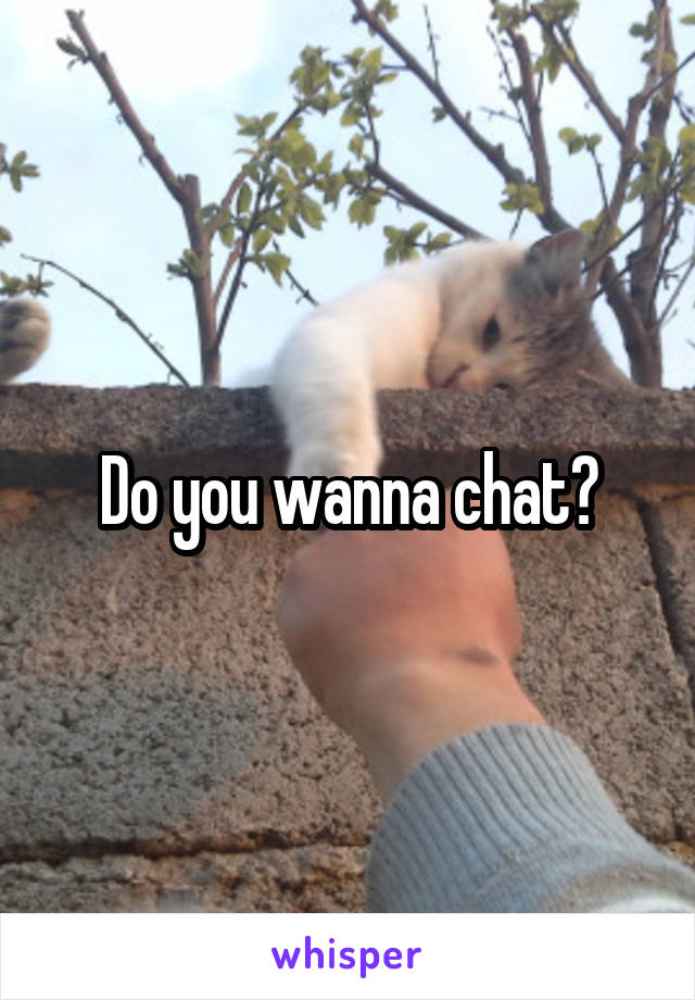 Do you wanna chat?