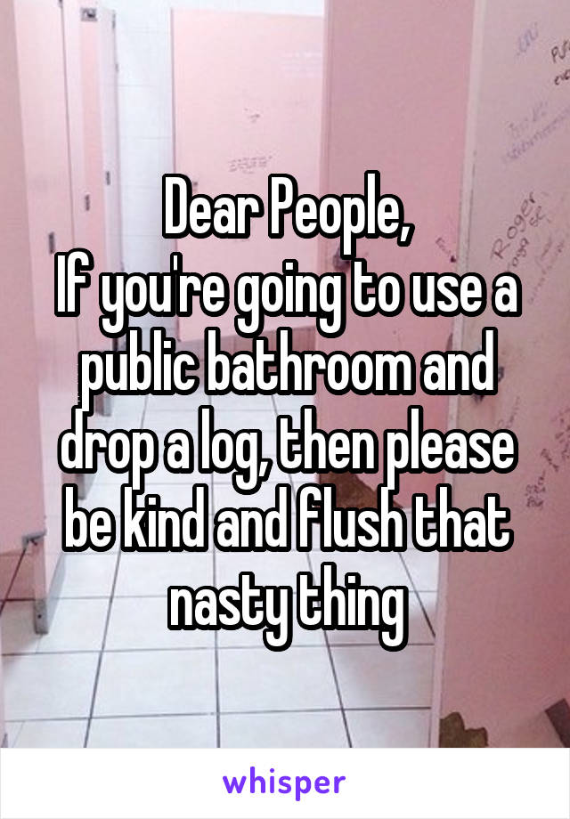 Dear People,
If you're going to use a public bathroom and drop a log, then please be kind and flush that nasty thing