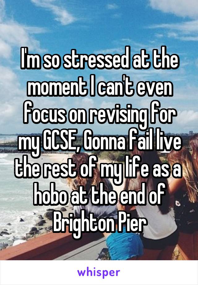 I'm so stressed at the moment I can't even focus on revising for my GCSE, Gonna fail live the rest of my life as a  hobo at the end of Brighton Pier