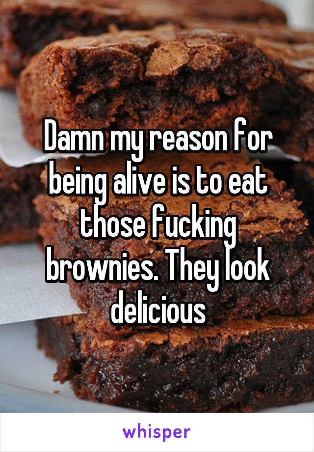 Damn my reason for being alive is to eat those fucking brownies. They look delicious