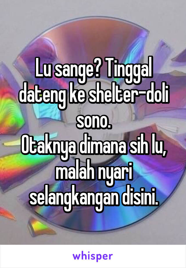 Lu sange? Tinggal dateng ke shelter-doli sono.
Otaknya dimana sih lu, malah nyari selangkangan disini.