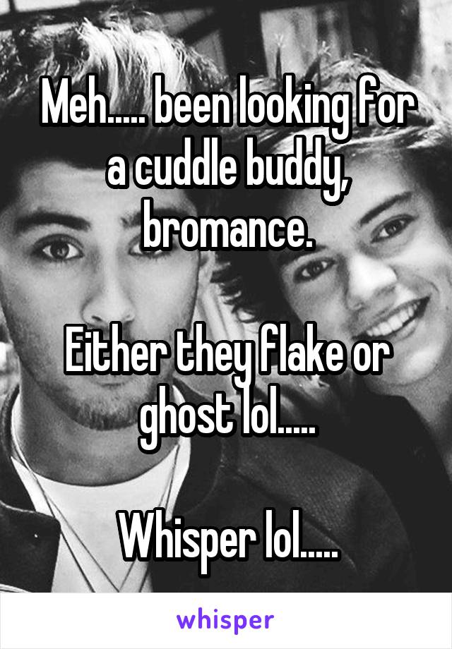 Meh..... been looking for a cuddle buddy, bromance.

Either they flake or ghost lol.....

Whisper lol.....