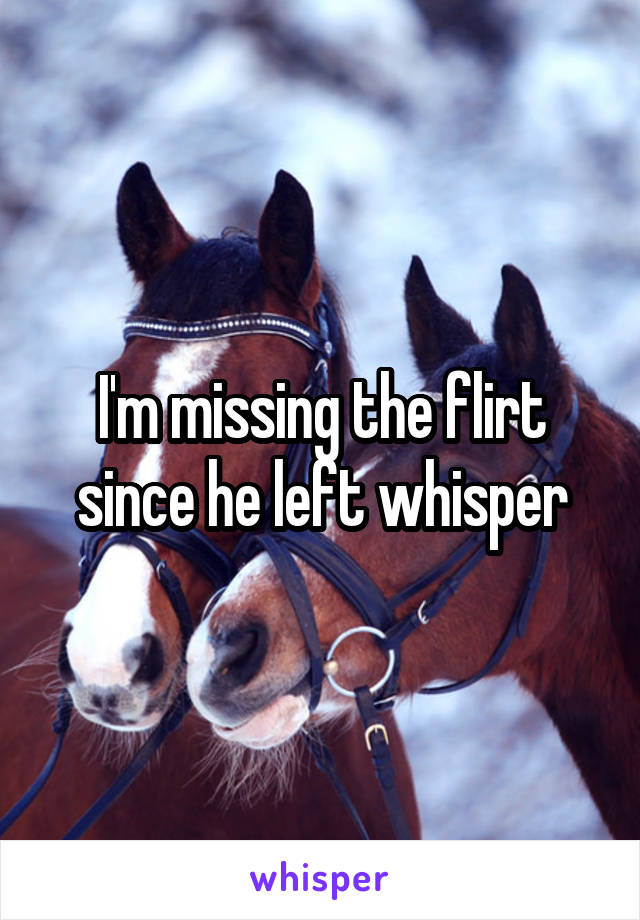 I'm missing the flirt since he left whisper