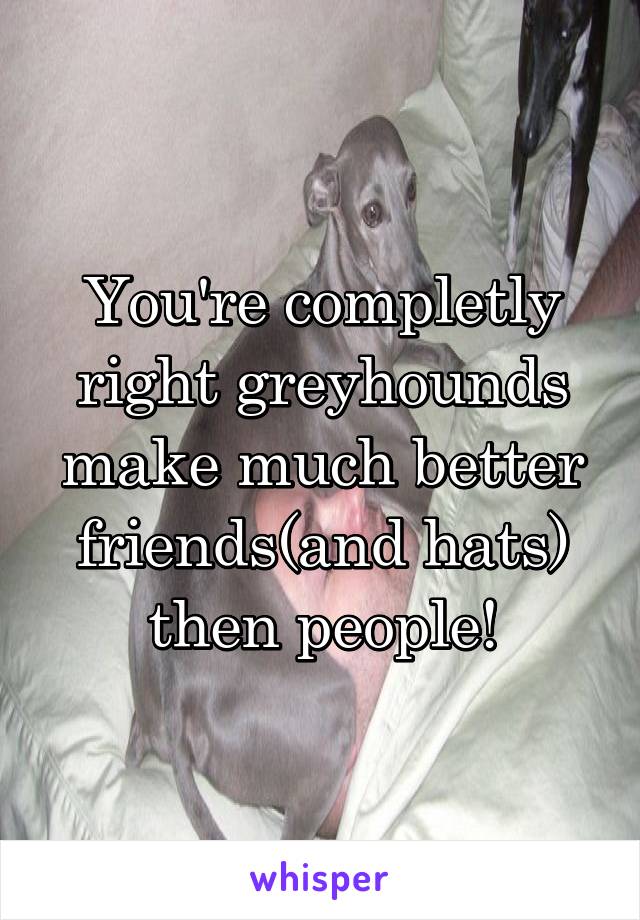 You're completly right greyhounds make much better friends(and hats) then people!