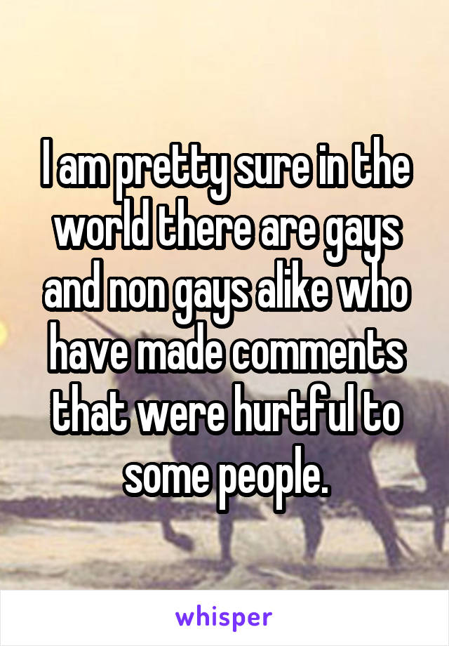 I am pretty sure in the world there are gays and non gays alike who have made comments that were hurtful to some people.