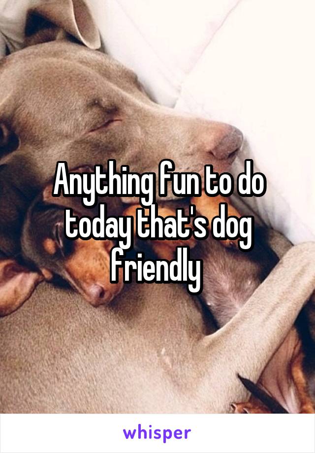 Anything fun to do today that's dog friendly 