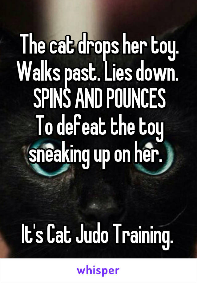 The cat drops her toy. Walks past. Lies down. 
SPINS AND POUNCES
To defeat the toy sneaking up on her.  


It's Cat Judo Training. 