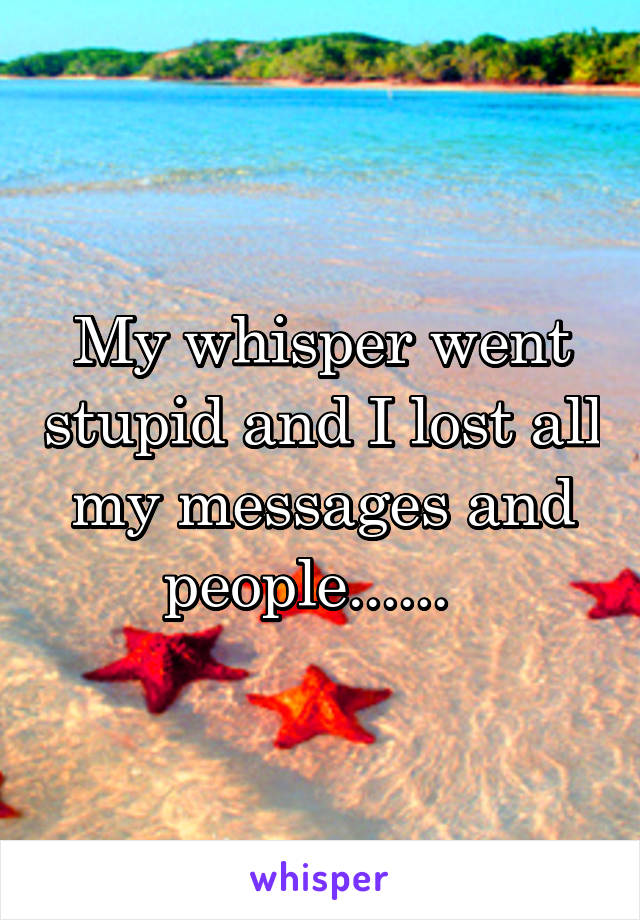 My whisper went stupid and I lost all my messages and people......  