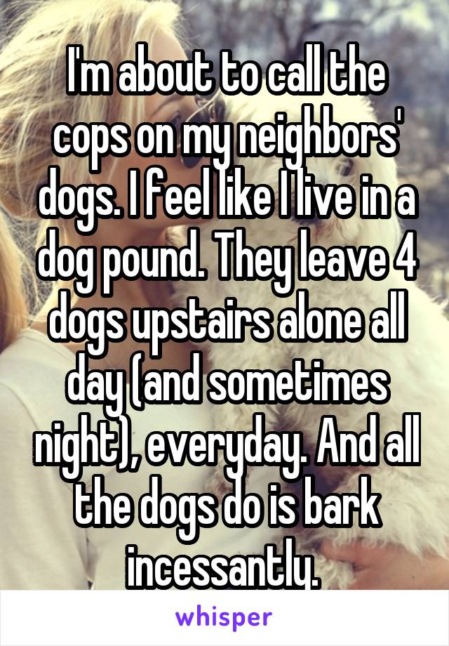 I'm about to call the cops on my neighbors' dogs. I feel like I live in a dog pound. They leave 4 dogs upstairs alone all day (and sometimes night), everyday. And all the dogs do is bark incessantly. 