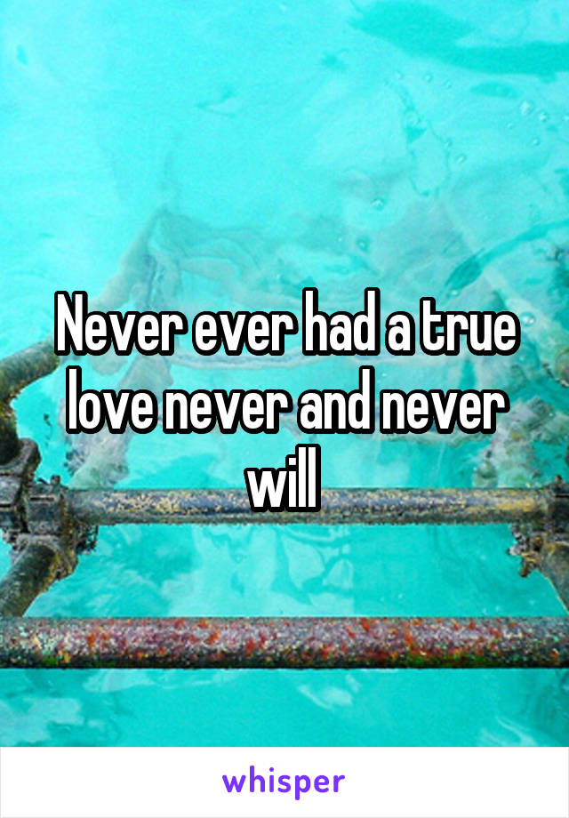 Never ever had a true love never and never will 