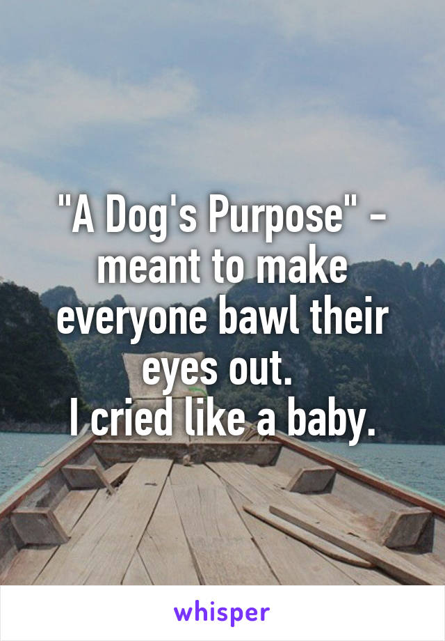 "A Dog's Purpose" - meant to make everyone bawl their eyes out. 
I cried like a baby.