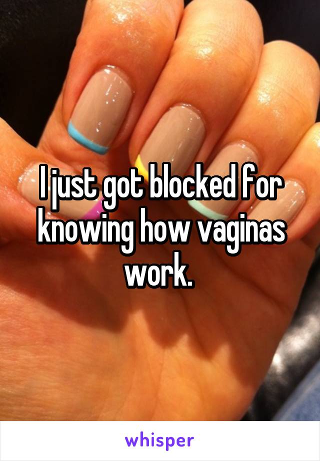 I just got blocked for knowing how vaginas work. 