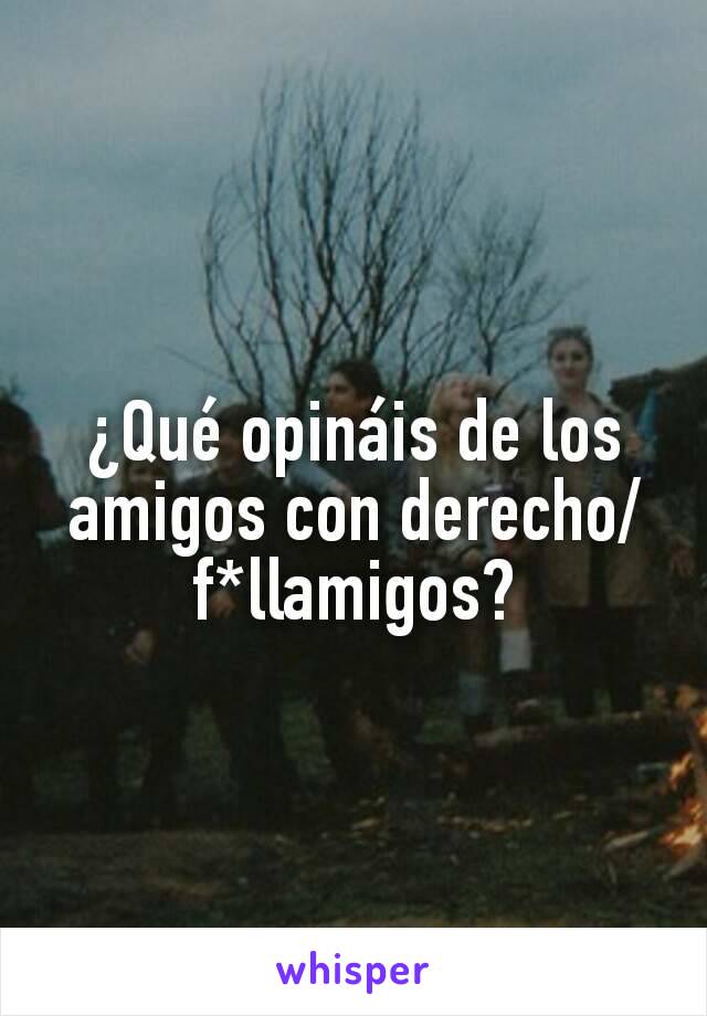 ¿Qué opináis de los amigos con derecho/f*llamigos?