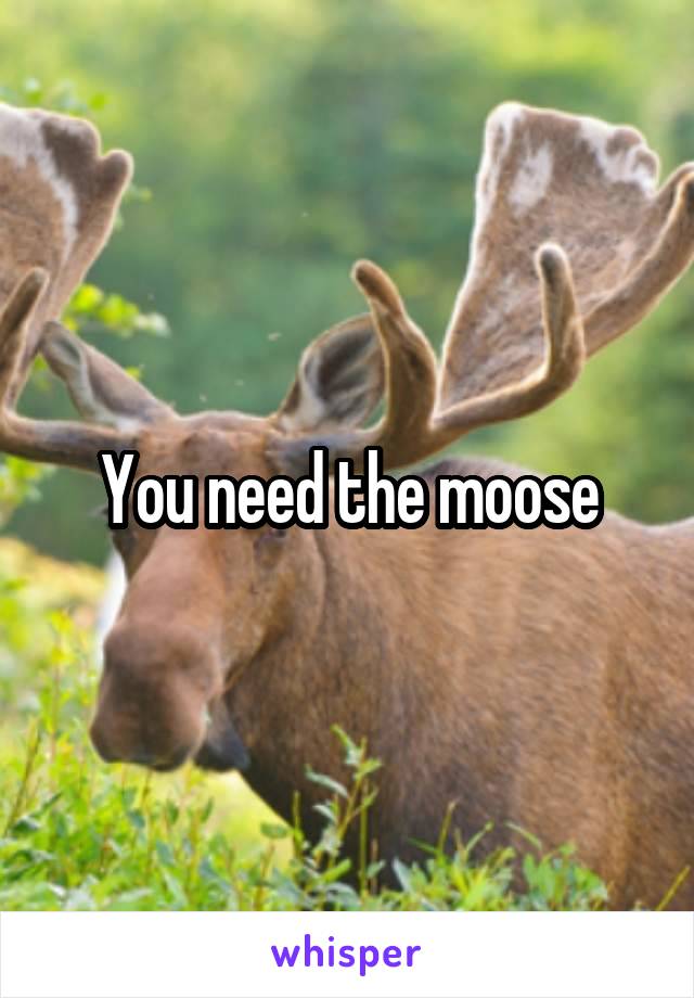 







You need the moose