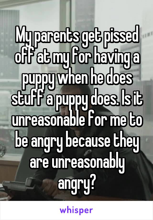 My parents get pissed off at my for having a puppy when he does stuff a puppy does. Is it unreasonable for me to be angry because they are unreasonably angry?