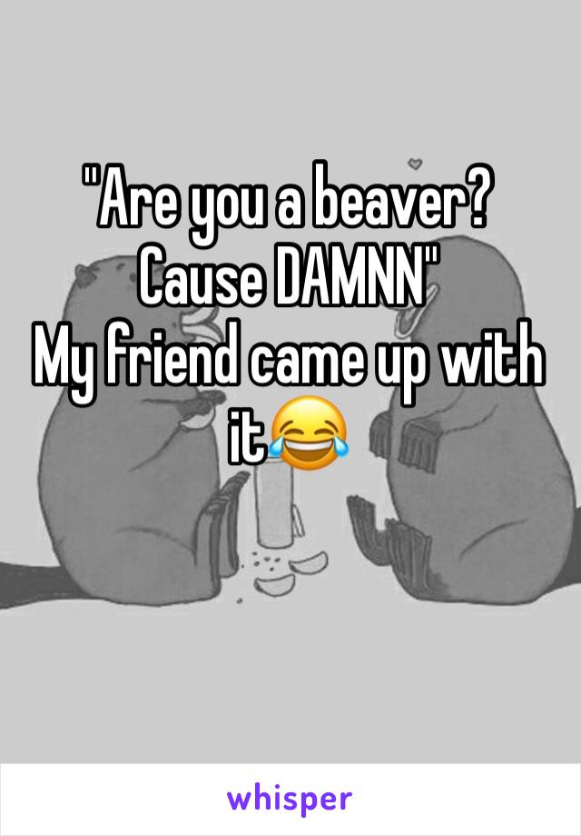 "Are you a beaver?
Cause DAMNN"
My friend came up with it😂
