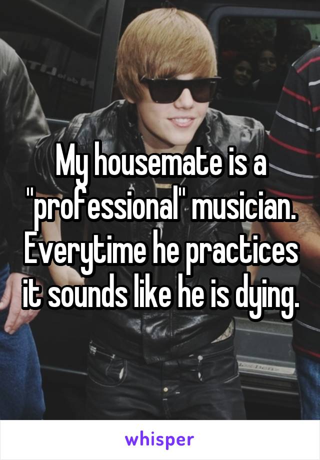 My housemate is a "professional" musician. Everytime he practices it sounds like he is dying.