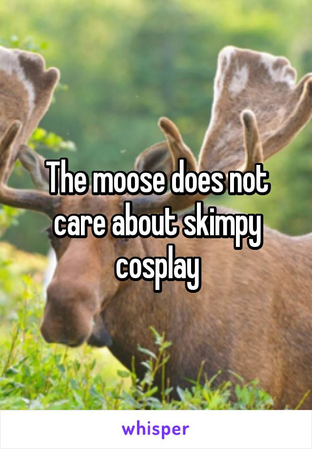 






The moose does not care about skimpy cosplay