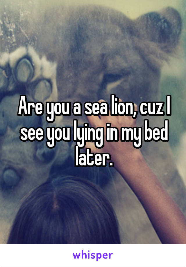 Are you a sea lion, cuz I see you lying in my bed later.