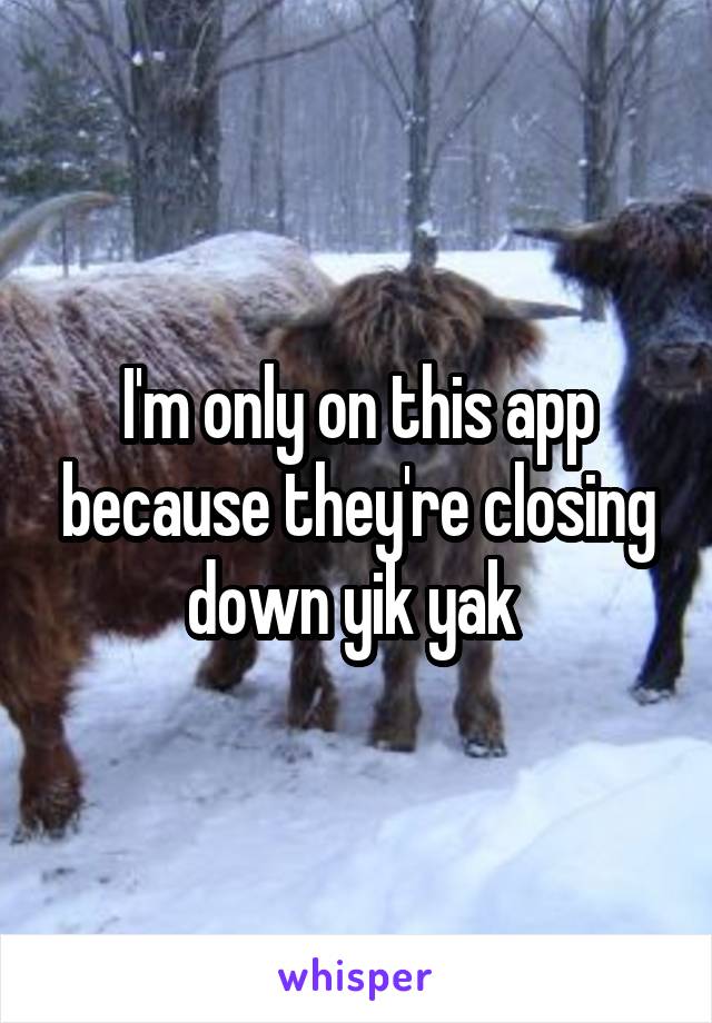 I'm only on this app because they're closing down yik yak 