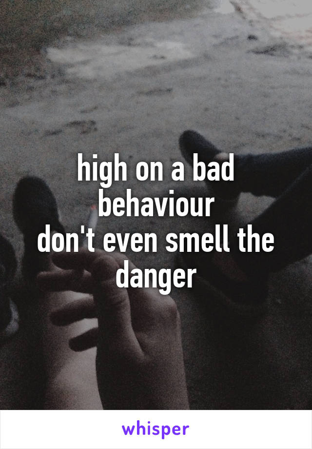 high on a bad behaviour
don't even smell the danger