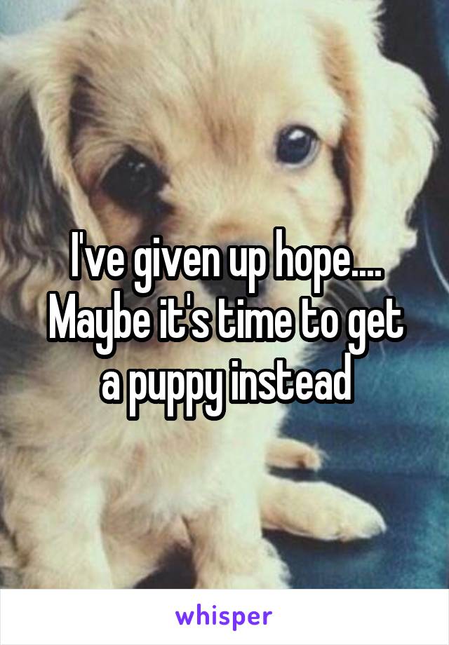 I've given up hope....
Maybe it's time to get a puppy instead