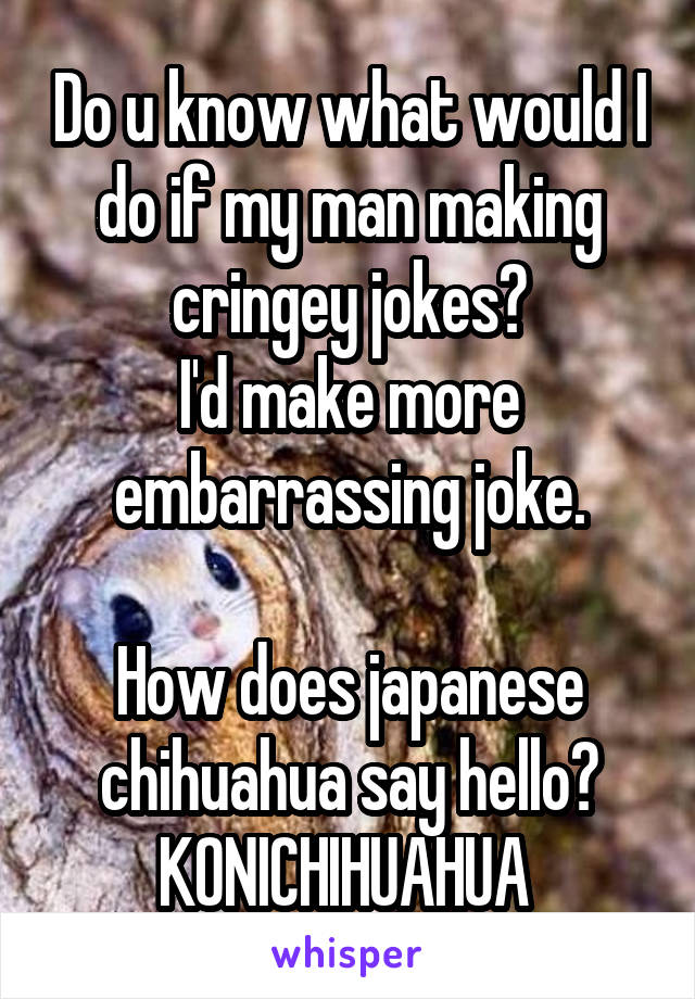 Do u know what would I do if my man making cringey jokes?
I'd make more embarrassing joke.

How does japanese chihuahua say hello?
KONICHIHUAHUA 