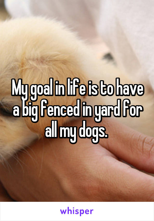 My goal in life is to have a big fenced in yard for all my dogs. 