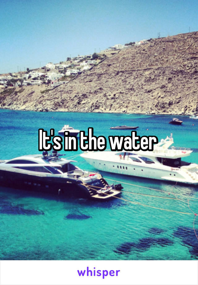 It's in the water 