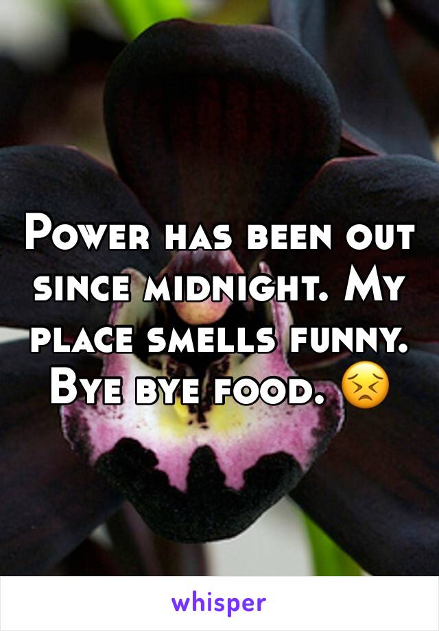 Power has been out since midnight. My place smells funny. Bye bye food. 😣