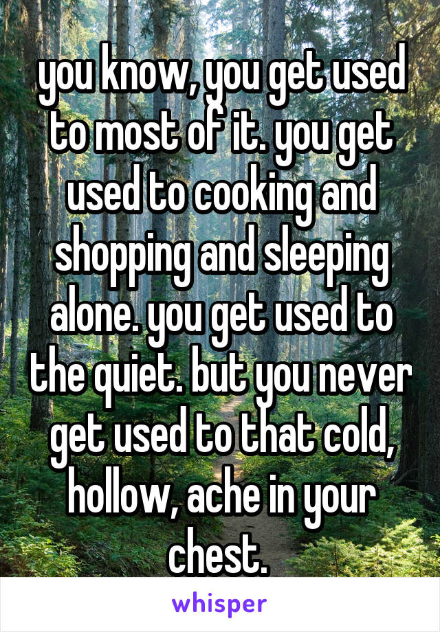 you know, you get used to most of it. you get used to cooking and shopping and sleeping alone. you get used to the quiet. but you never get used to that cold, hollow, ache in your chest. 