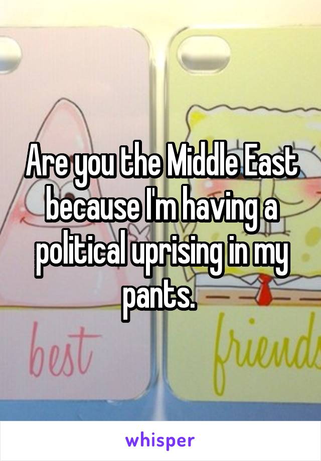 Are you the Middle East because I'm having a political uprising in my pants. 